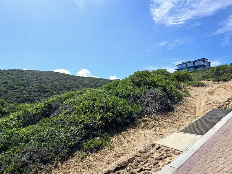 Vacant Land Residential For Sale in Pinnacle Point Golf Estate - Photo 10