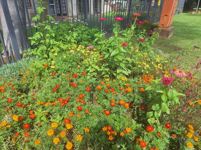 House For Sale in Cullinan Central - Photo 3