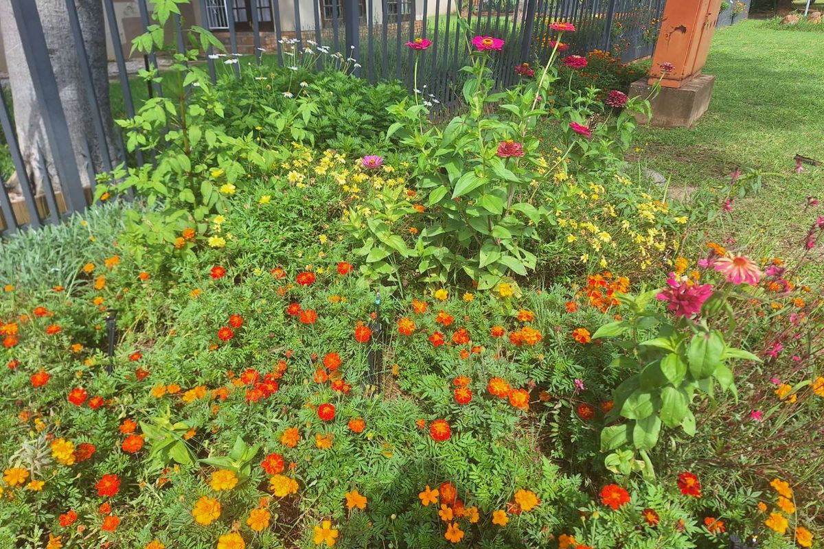 House For Sale in Cullinan Central - Photo 3