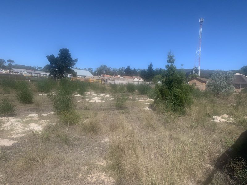 Retail For Sale in Albertinia Central - Photo 8