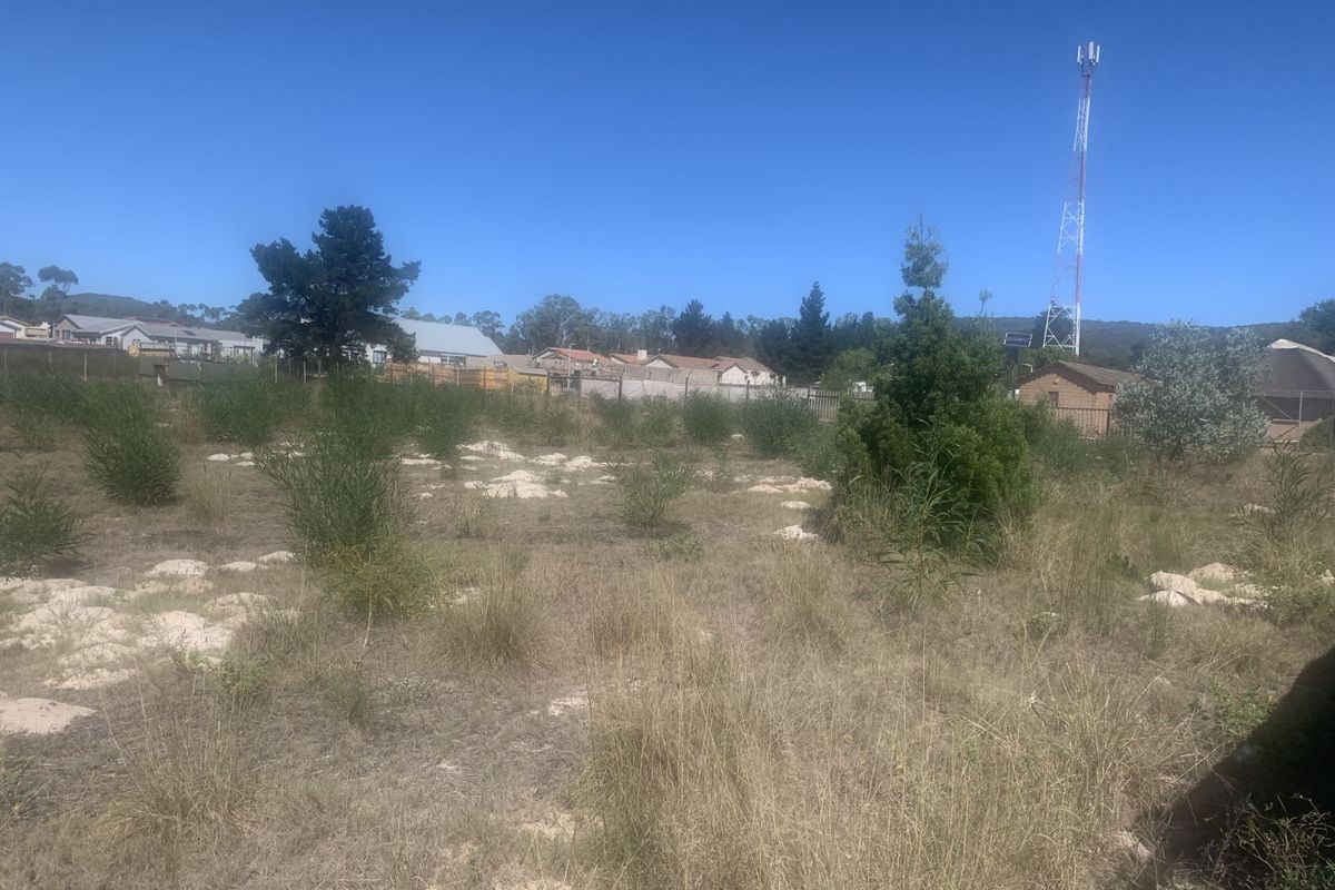 Retail For Sale in Albertinia Central - Photo 3