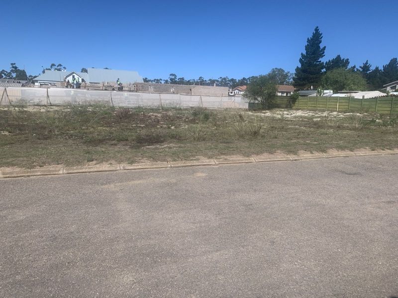 Vacant Land Residential For Sale in Albertinia Central - Photo 3