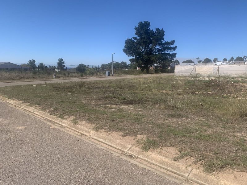 Vacant Land Residential For Sale in Albertinia Central - Photo 4