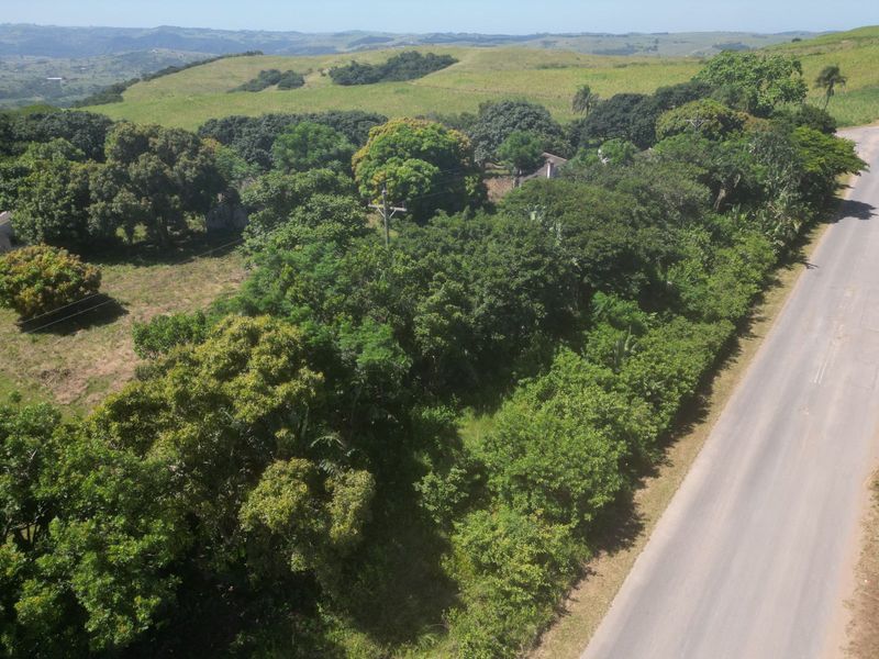 Farm For Sale in Ballito Rural - Photo 4