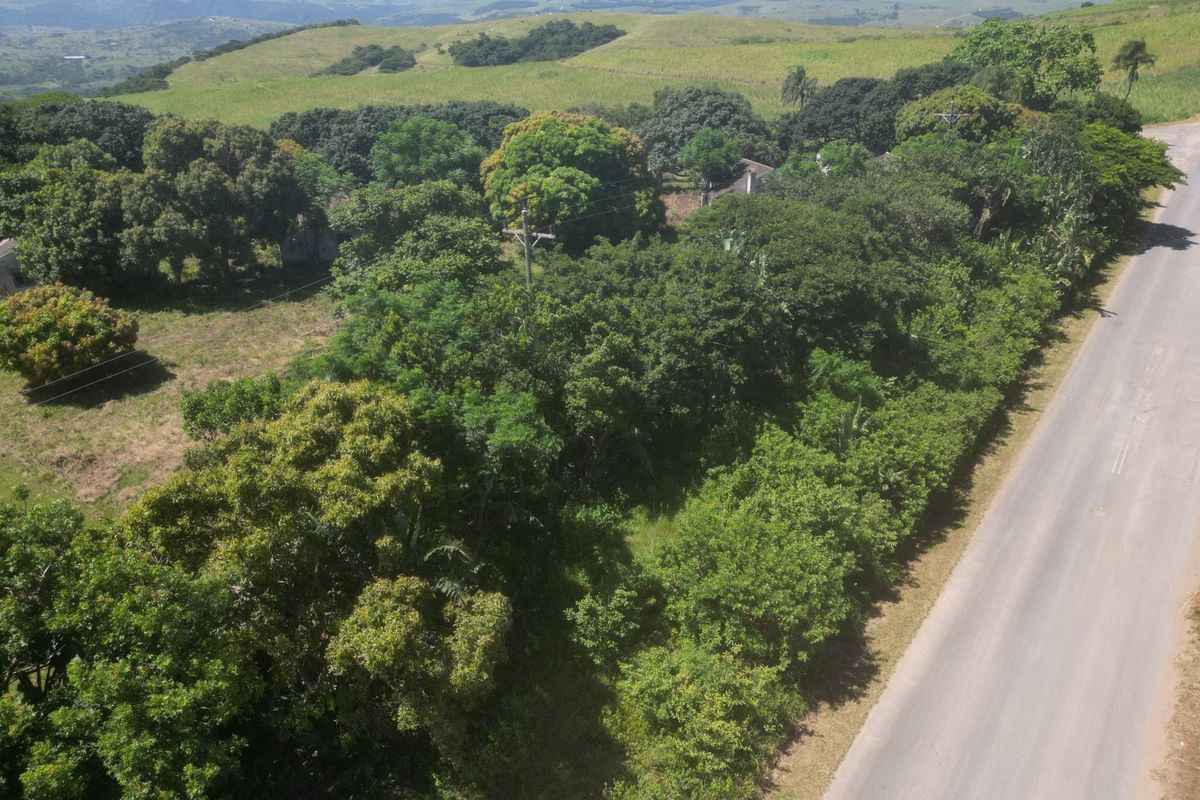 Farm For Sale in Ballito Rural - Photo 4
