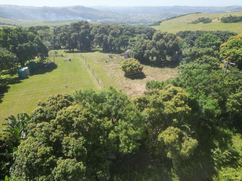 Farm For Sale in Ballito Rural - Photo 3
