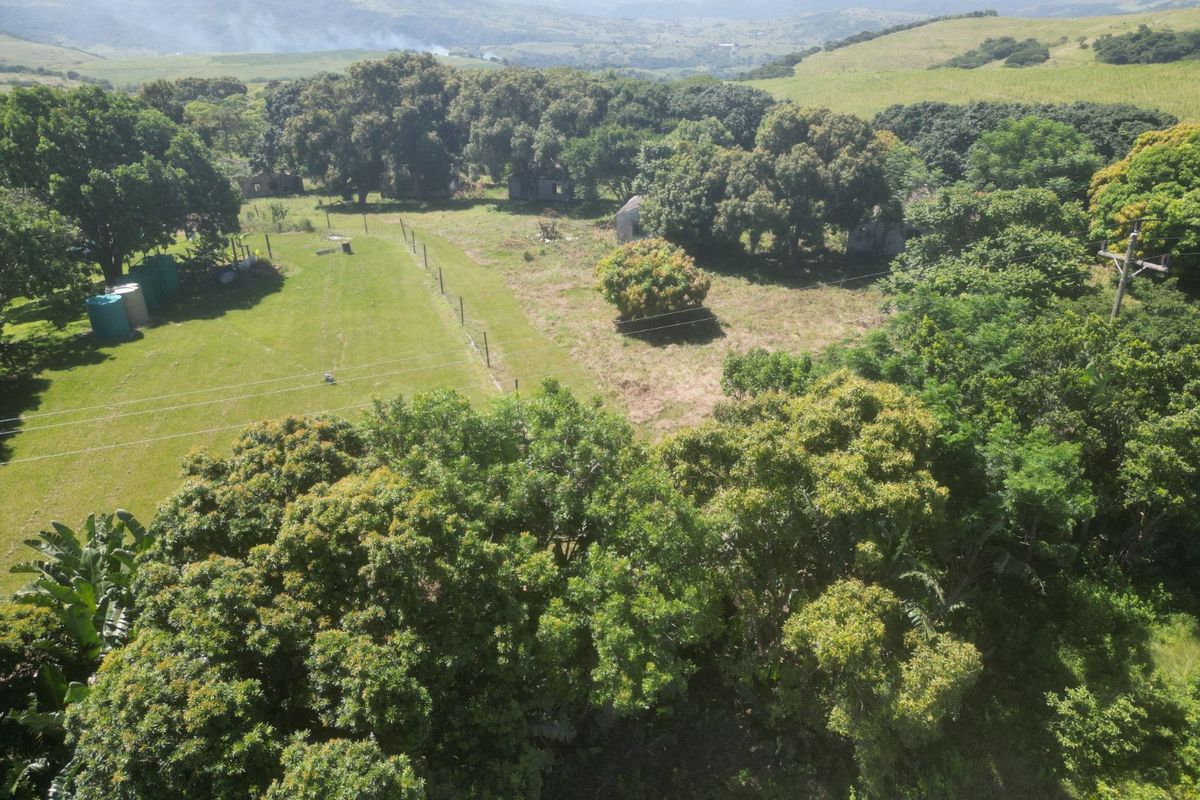 Farm For Sale in Ballito Rural - Photo 3