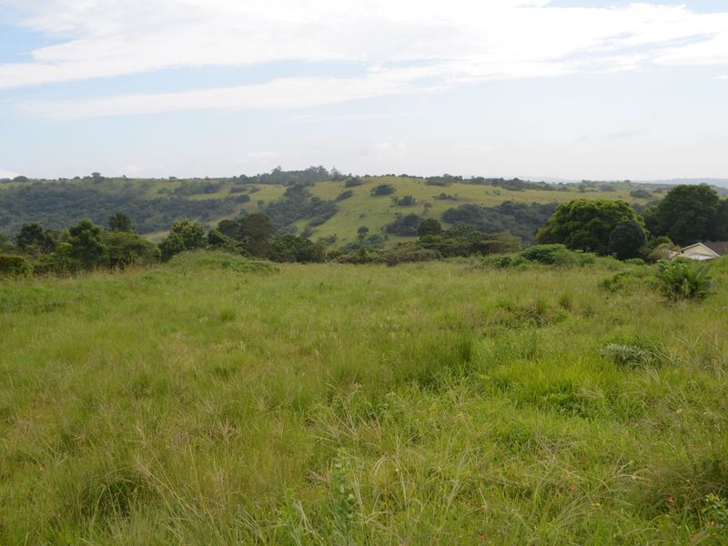 Vacant Land Residential For Sale in Forest Hills - Photo 10