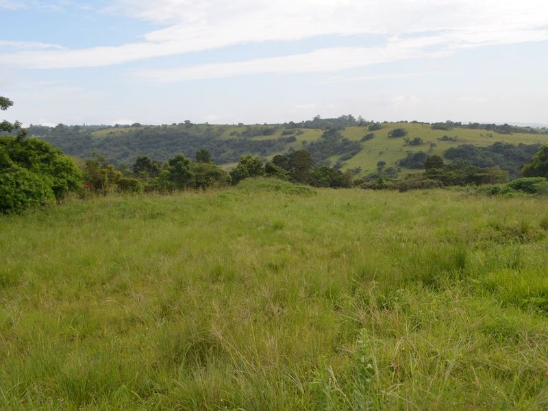 Vacant Land Residential For Sale in Forest Hills - Photo 8