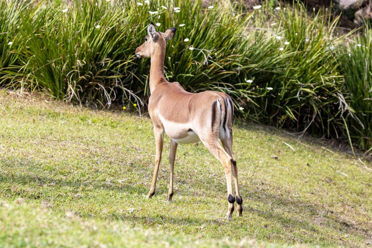 Vacant Land Residential For Sale in Forest Hills - Photo 2