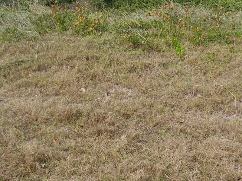 Vacant Land Residential For Sale in Struisbaai Central - Photo 5