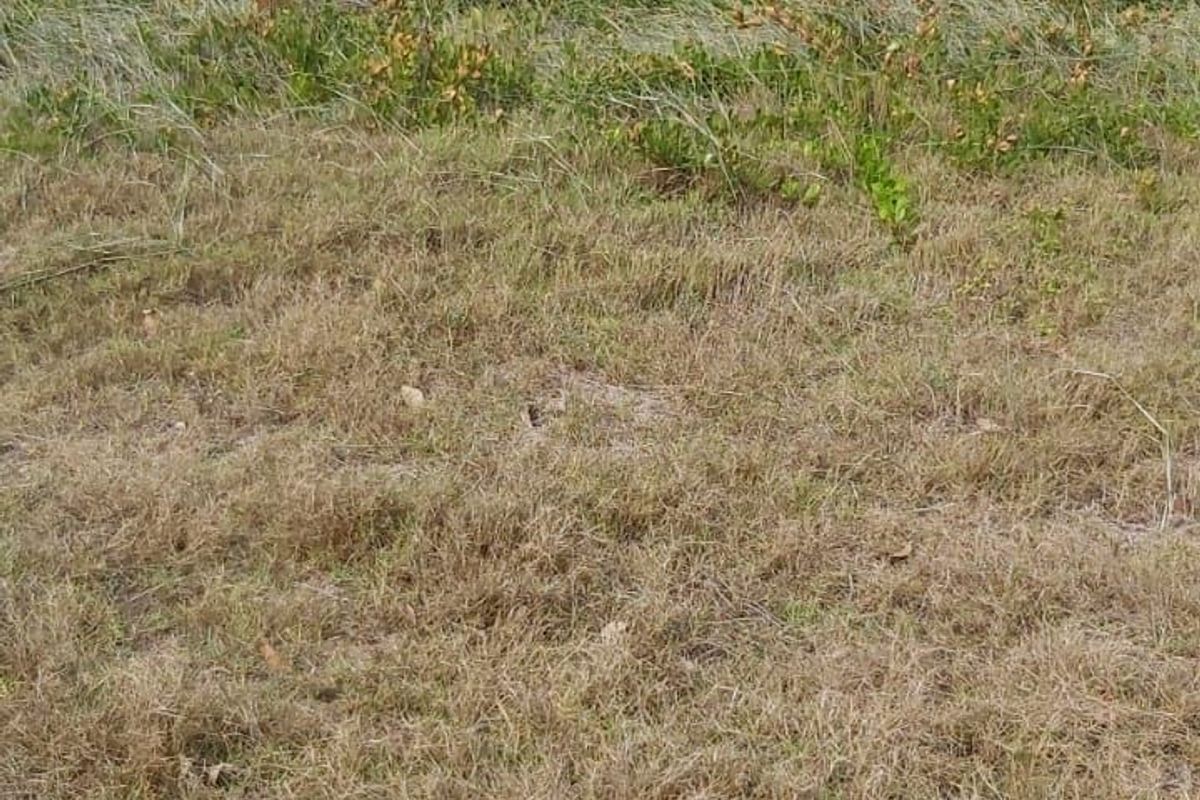 Vacant Land Residential For Sale in Struisbaai Central - Photo 5