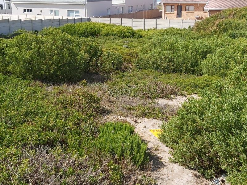 Vacant Land Residential For Sale in Struisbaai Central - Photo 4