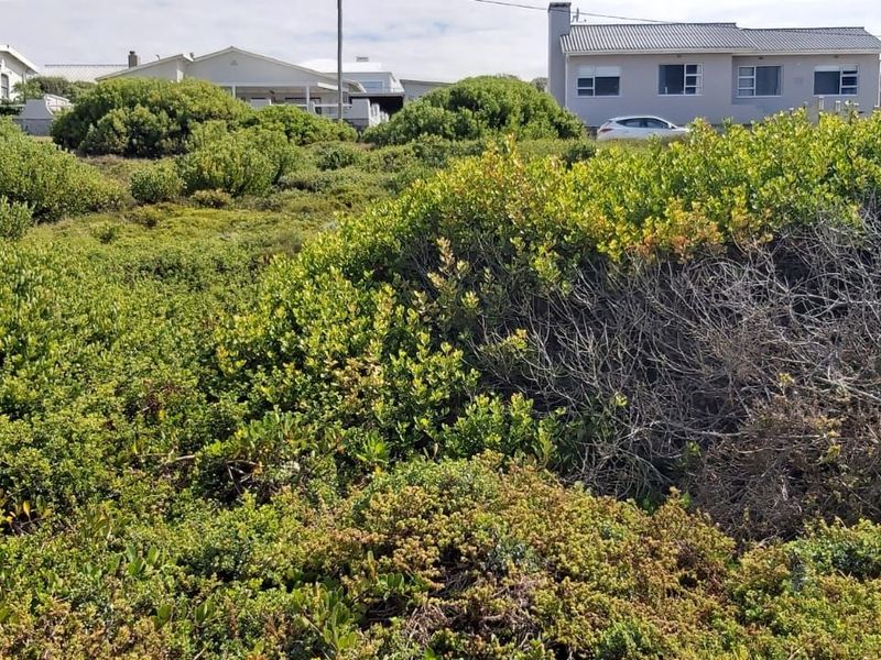 Vacant Land Residential For Sale in Struisbaai Central - Photo 3