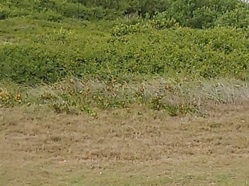 Vacant Land Residential For Sale in Struisbaai Central - Photo 8