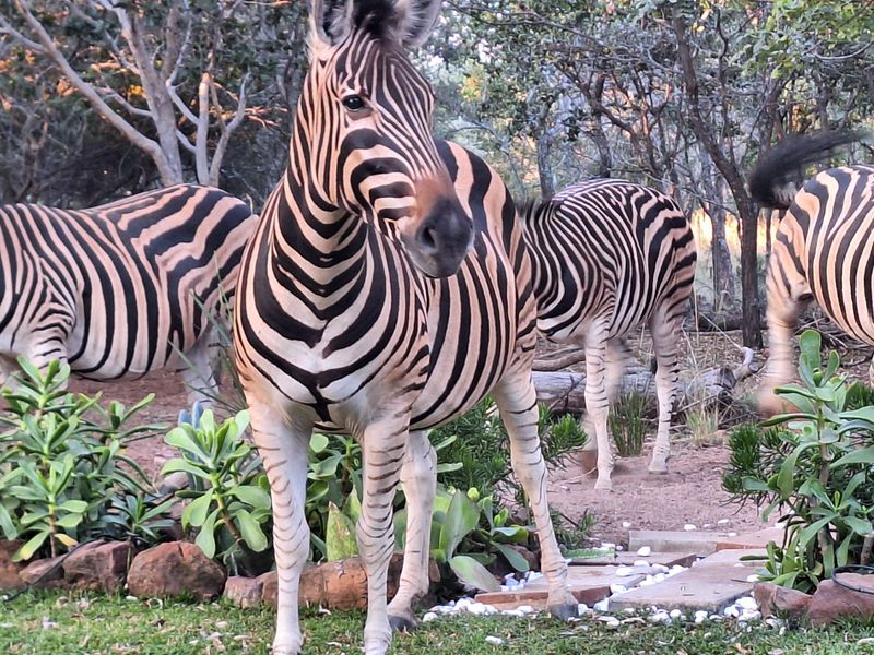 Vacant Land Residential For Sale in Koro Creek Golf Estate - Photo 7