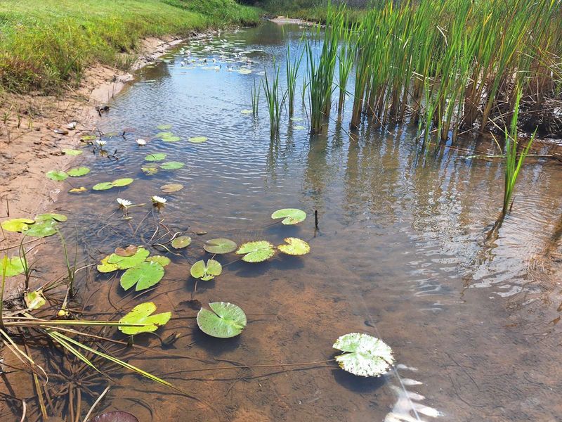 Vacant Land Residential For Sale in Koro Creek Golf Estate - Photo 6