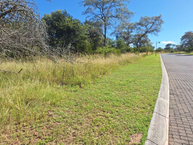 Vacant Land Residential For Sale in Koro Creek Golf Estate - Photo 2