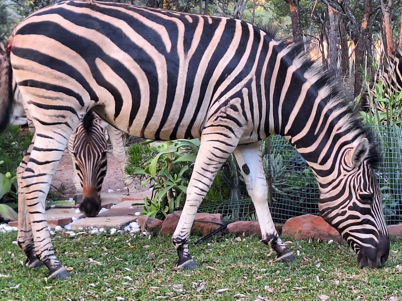 Vacant Land Residential For Sale in Koro Creek Golf Estate - Photo 5