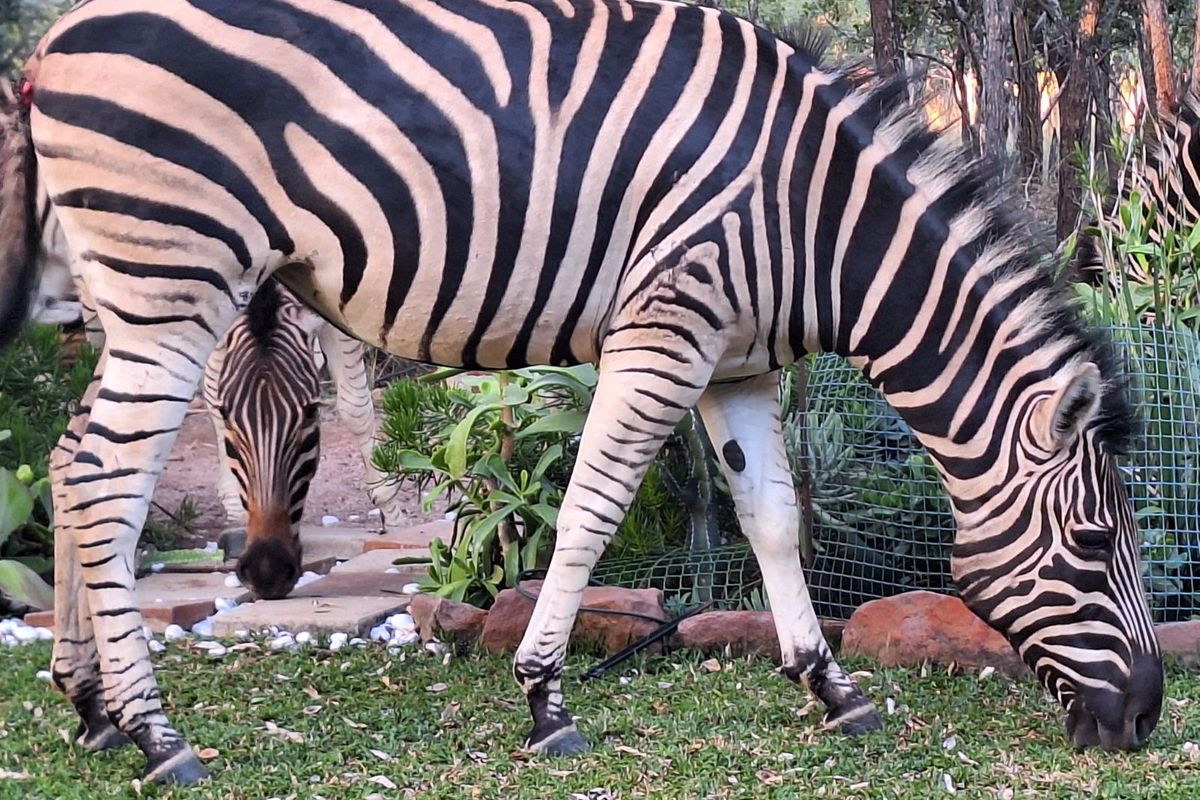 Vacant Land Residential For Sale in Koro Creek Golf Estate - Photo 5