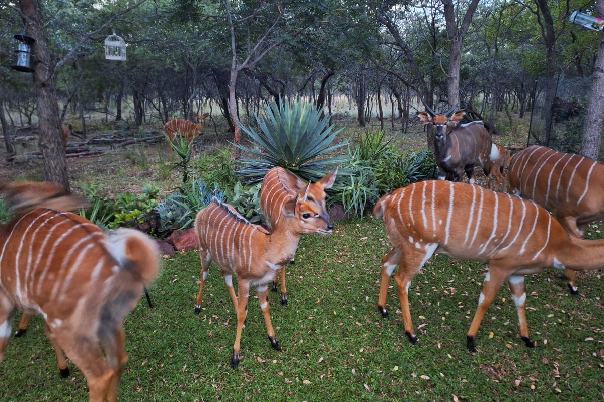 Vacant Land Residential For Sale in Koro Creek Golf Estate - Photo 4