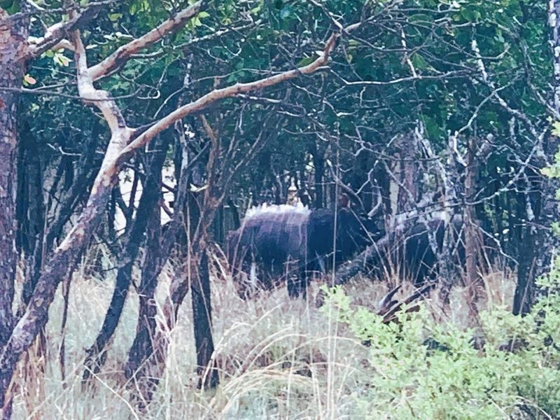 Vacant Land Residential For Sale in Koro Creek Golf Estate - Photo 3