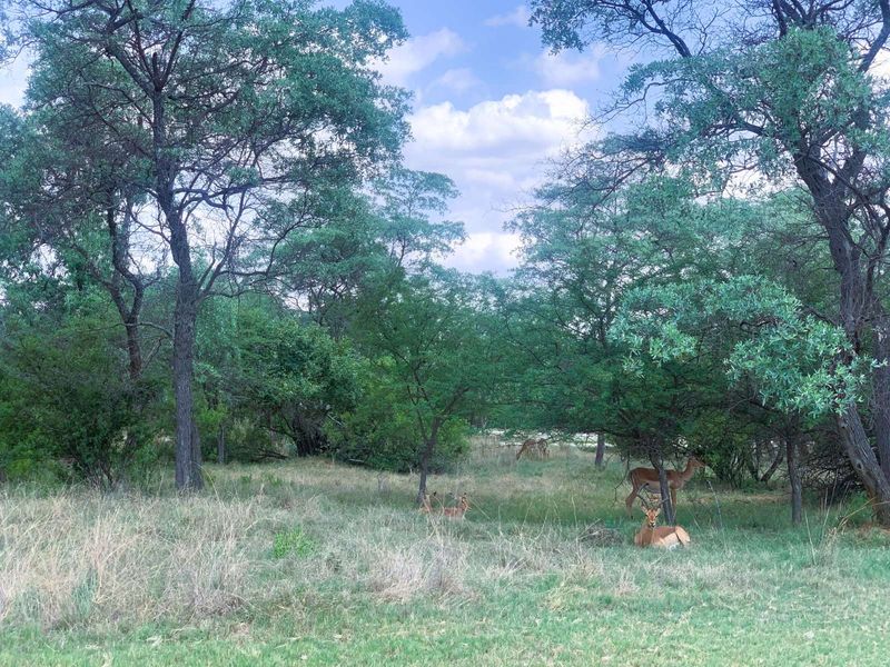 Vacant Land Residential For Sale in Koro Creek Golf Estate - Photo 2