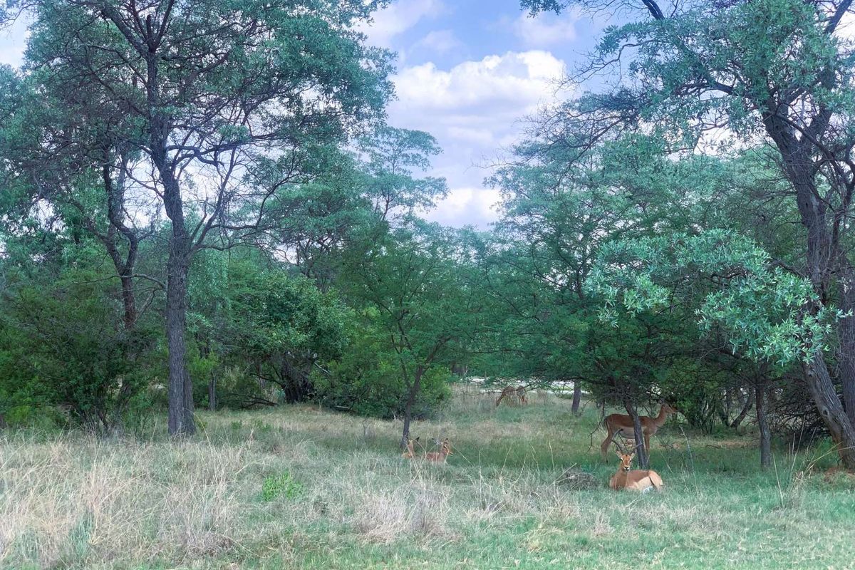 Vacant Land Residential For Sale in Koro Creek Golf Estate - Photo 2