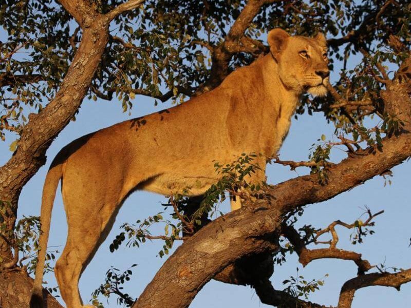 House For Sale in Machibini - Photo 4