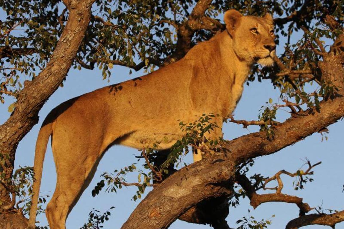 House For Sale in Machibini - Photo 4