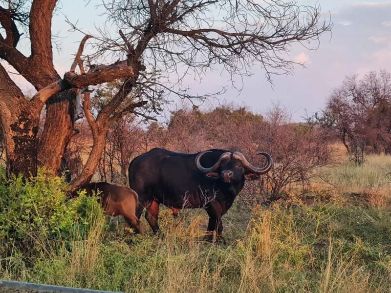 House For Sale in Machibini - Photo 5