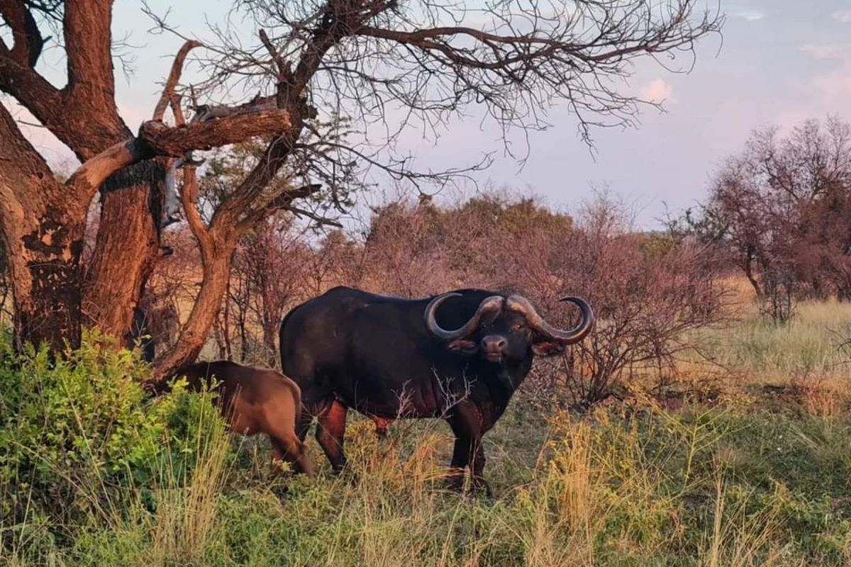 House For Sale in Machibini - Photo 5