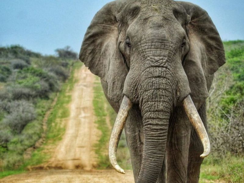 House For Sale in Machibini - Photo 2