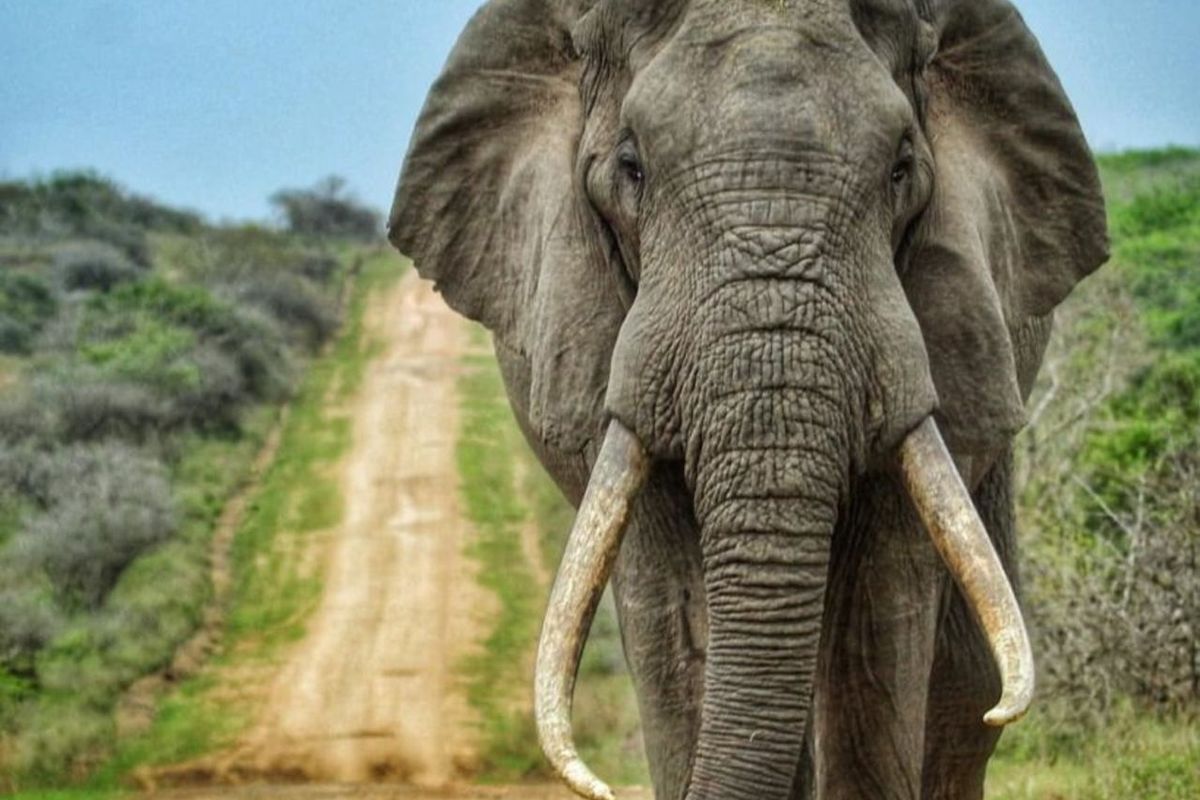 House For Sale in Machibini - Photo 2