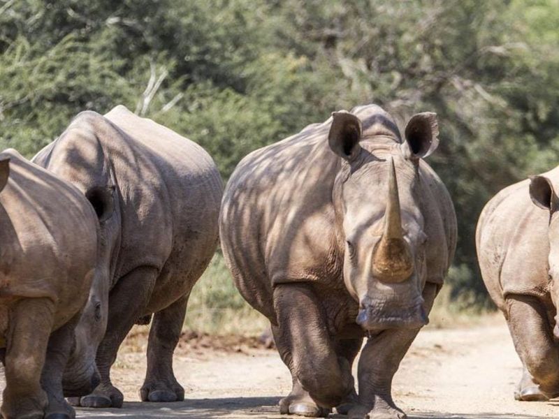 House For Sale in Machibini - Photo 3