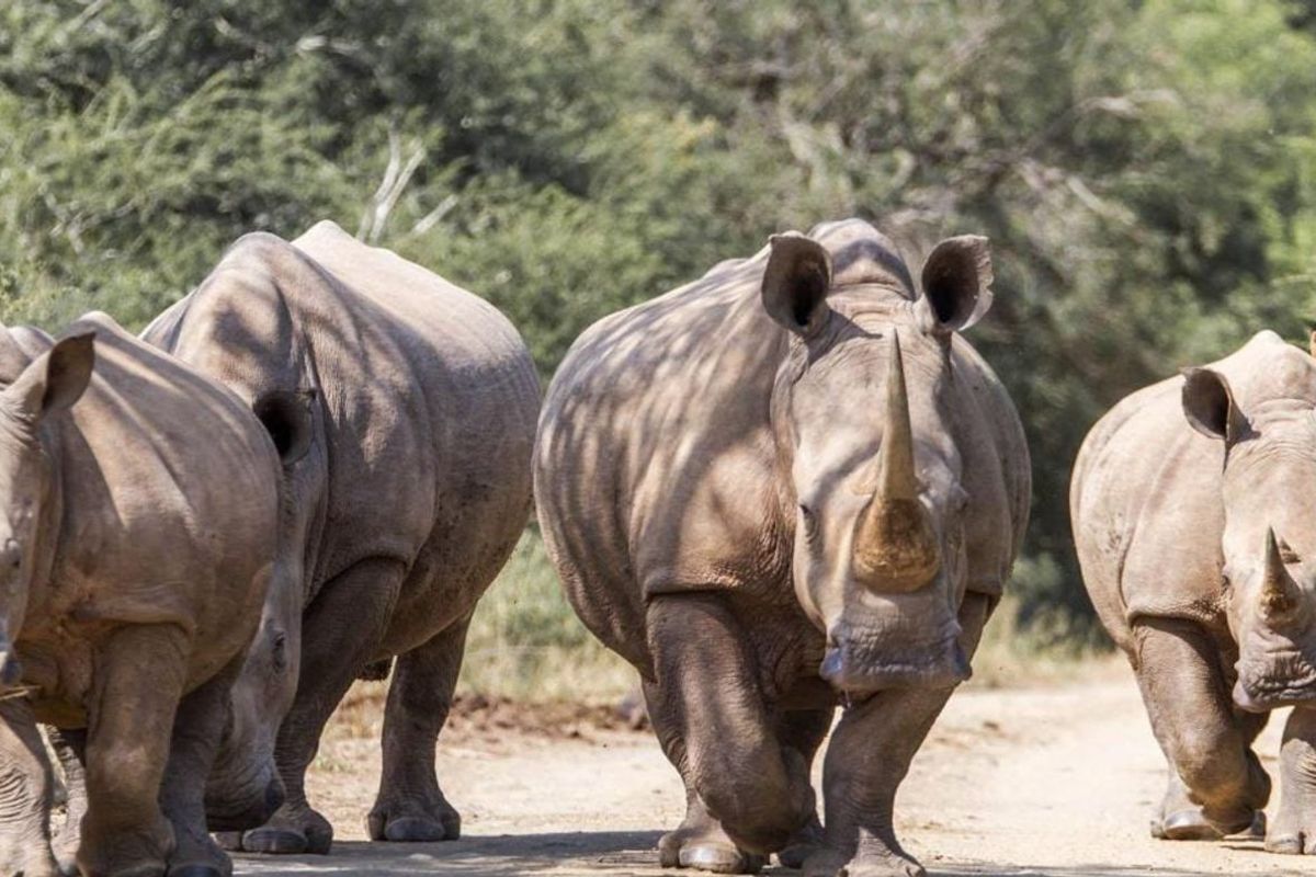 House For Sale in Machibini - Photo 3