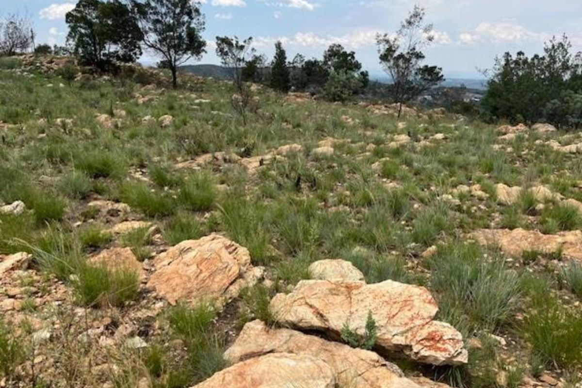 Vacant Land Residential For Sale in Rangeview - Photo 2