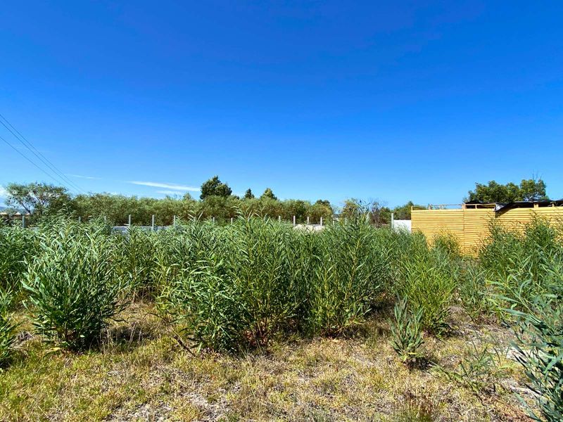 Vacant Land Residential For Sale in Franskraal - Photo 9