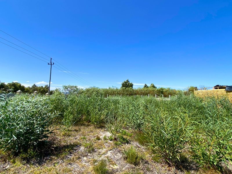 Vacant Land Residential For Sale in Franskraal - Photo 8
