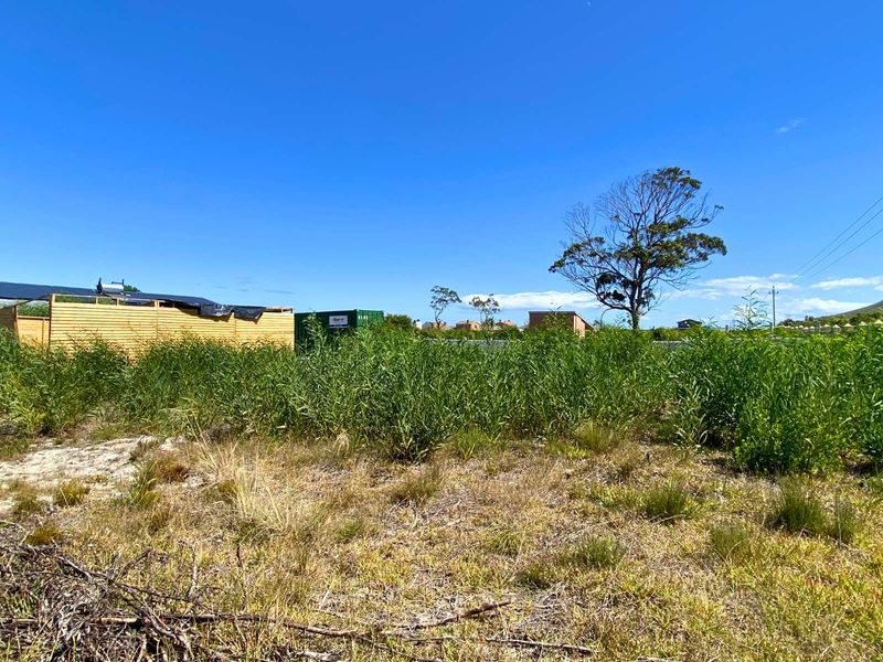 Vacant Land Residential For Sale in Franskraal - Photo 4