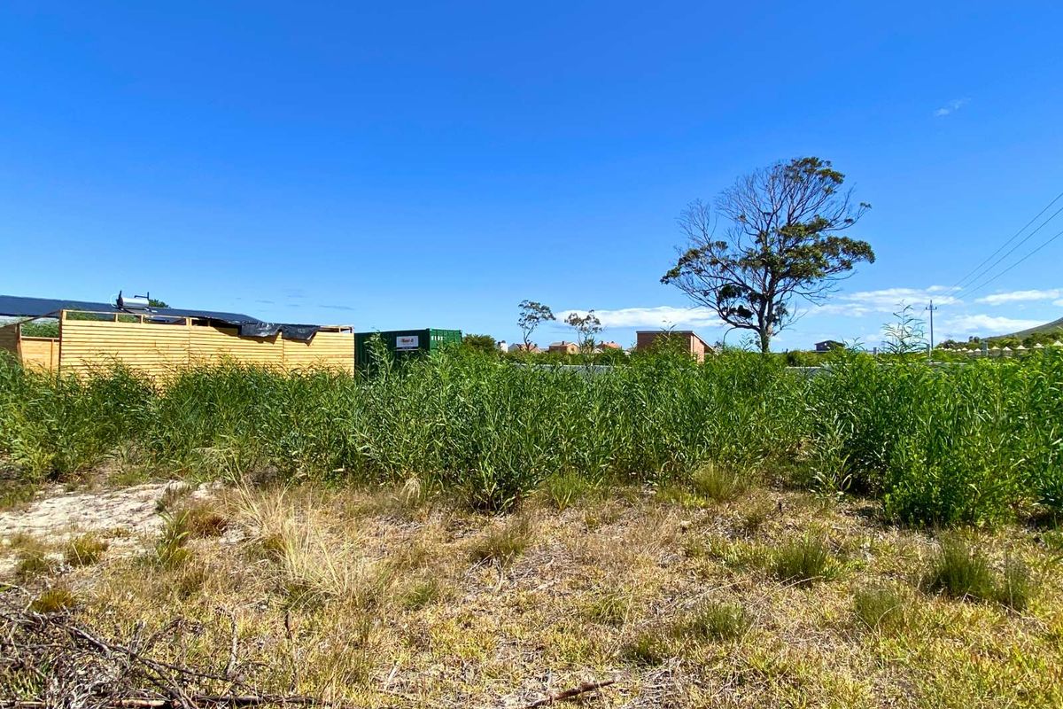 Vacant Land Residential For Sale in Franskraal - Photo 4