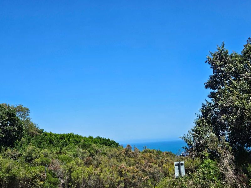 Vacant Land Residential For Sale in Wilderness Heights - Photo 4