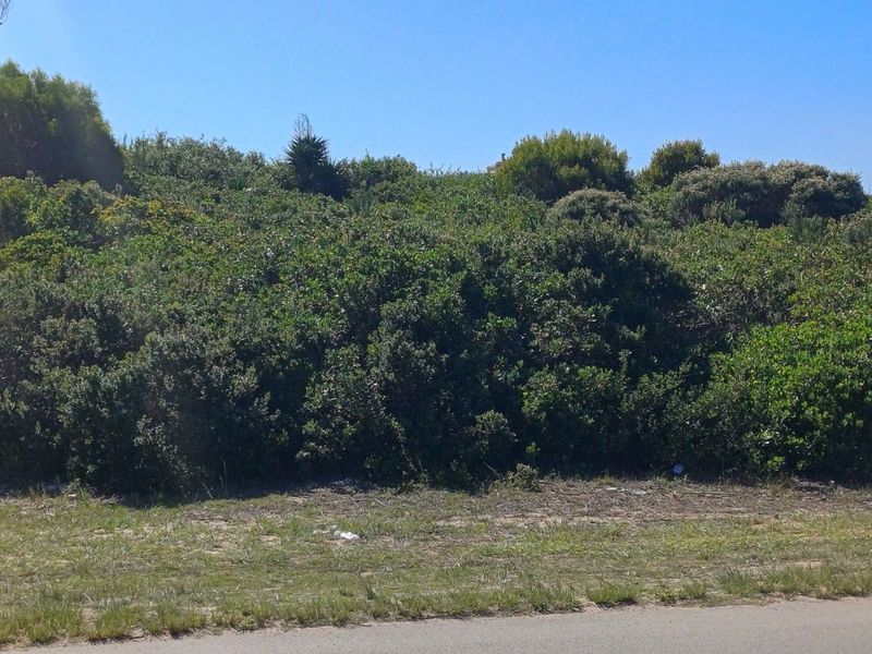 Vacant Land Residential For Sale in Santareme - Photo 4