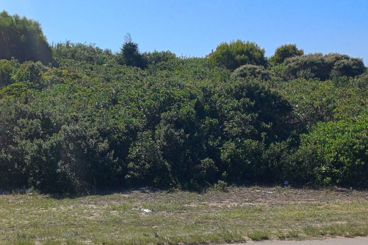 Vacant Land Residential For Sale in Santareme - Photo 4