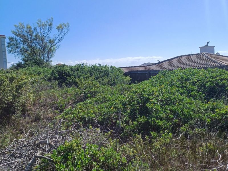 Vacant Land Residential For Sale in Santareme - Photo 7