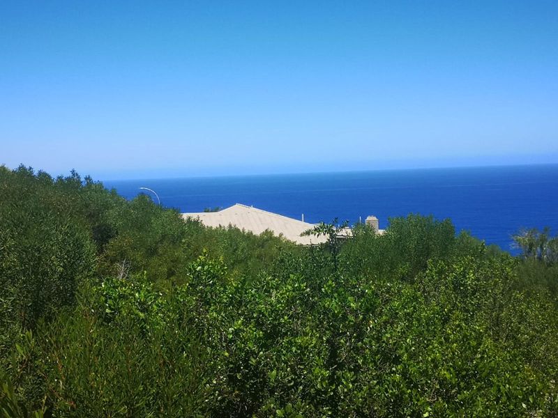 Vacant Land Residential For Sale in Dana Bay - Photo 7