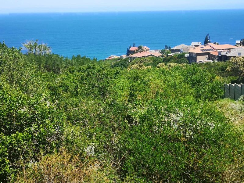 Vacant Land Residential For Sale in Dana Bay - Photo 2