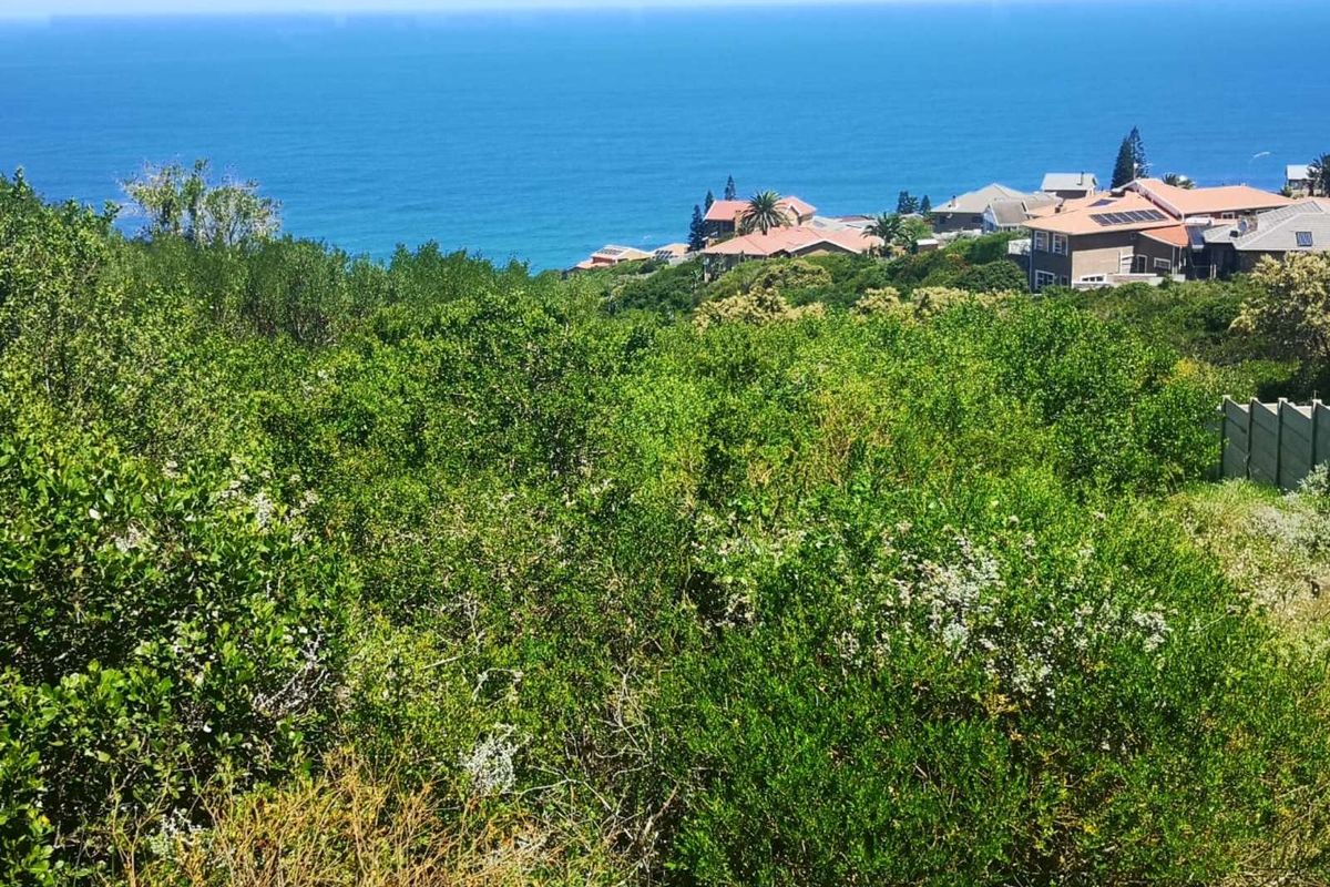 Vacant Land Residential For Sale in Dana Bay - Photo 2