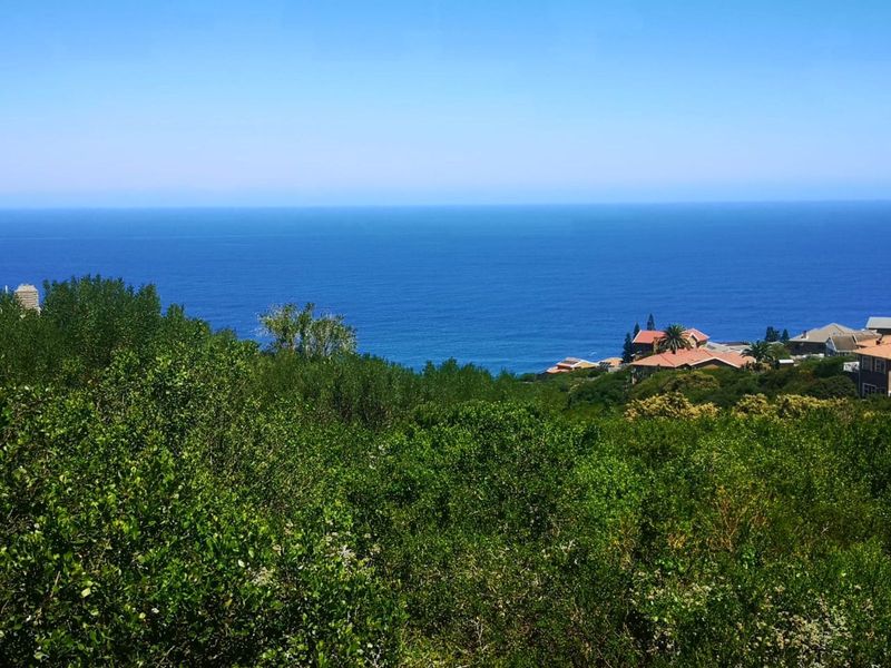 Vacant Land Residential For Sale in Dana Bay - Photo 3