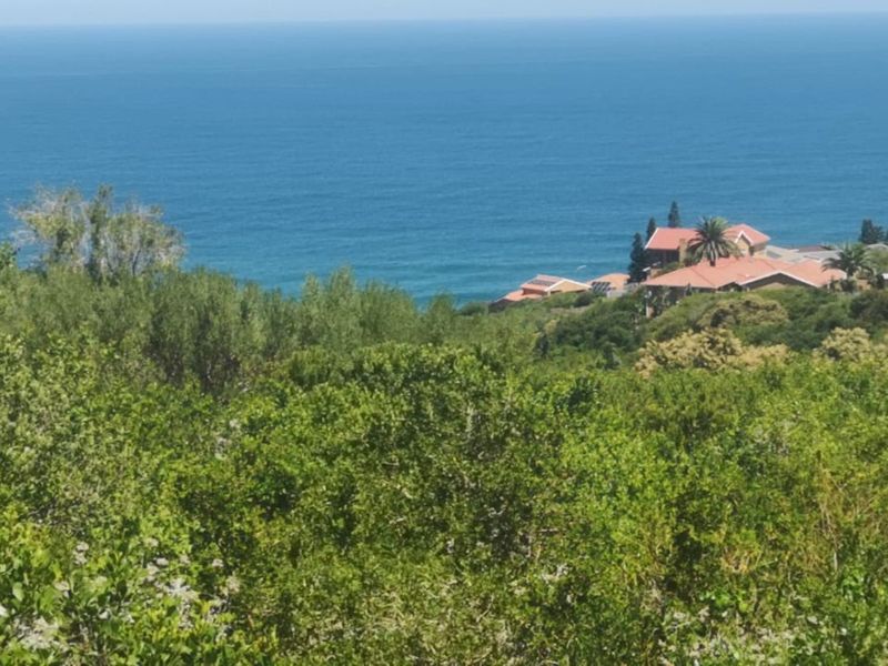 Vacant Land Residential For Sale in Dana Bay - Photo 10